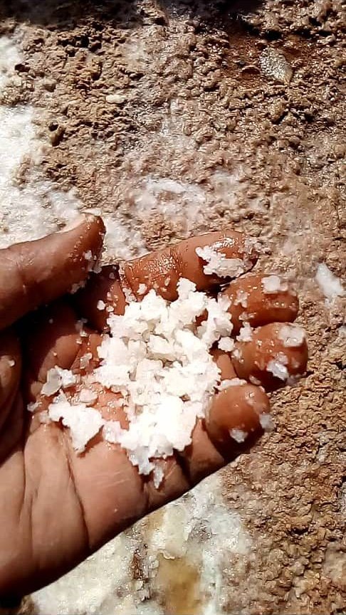 Salt crystals from the basin